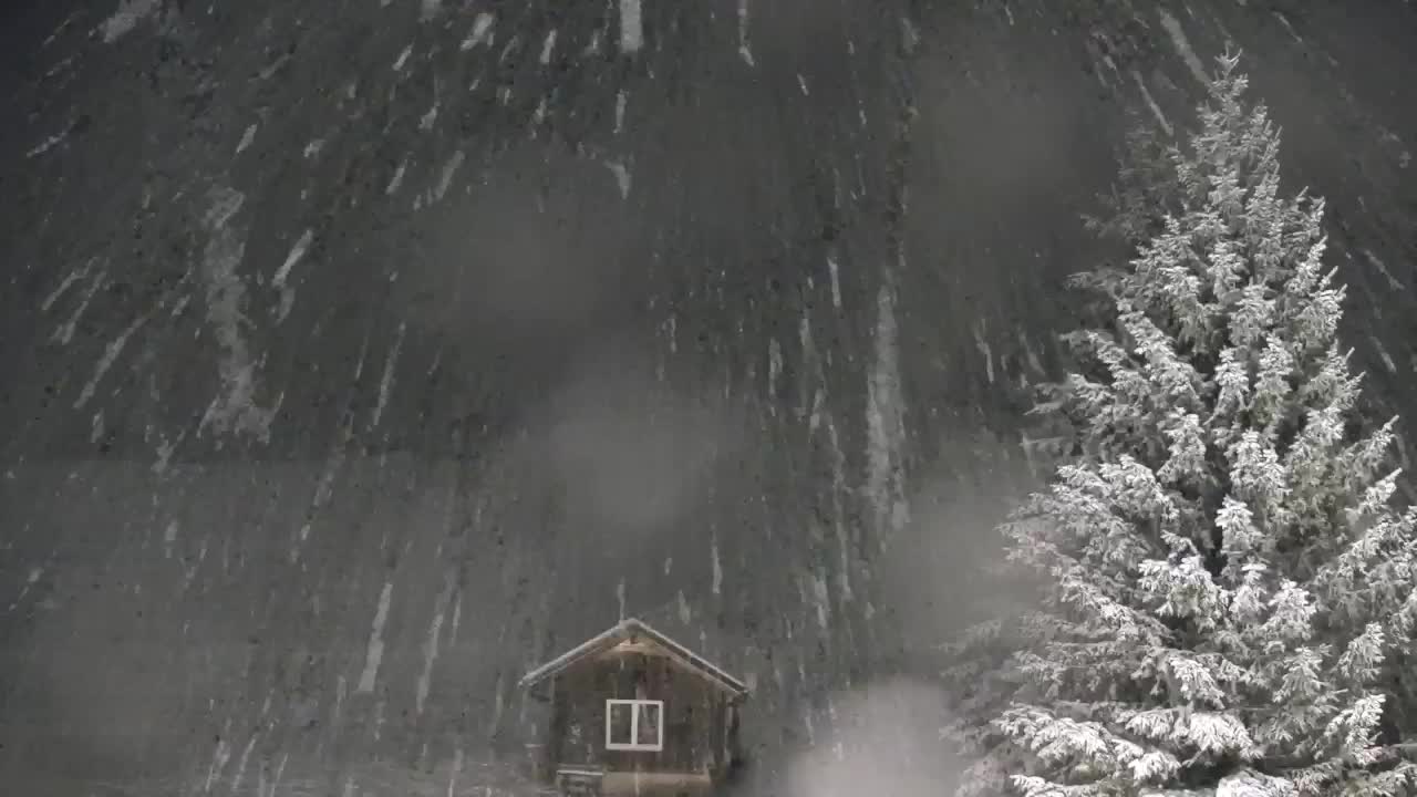 Webcam Lokve – La beauté de la forêt de Trnovo