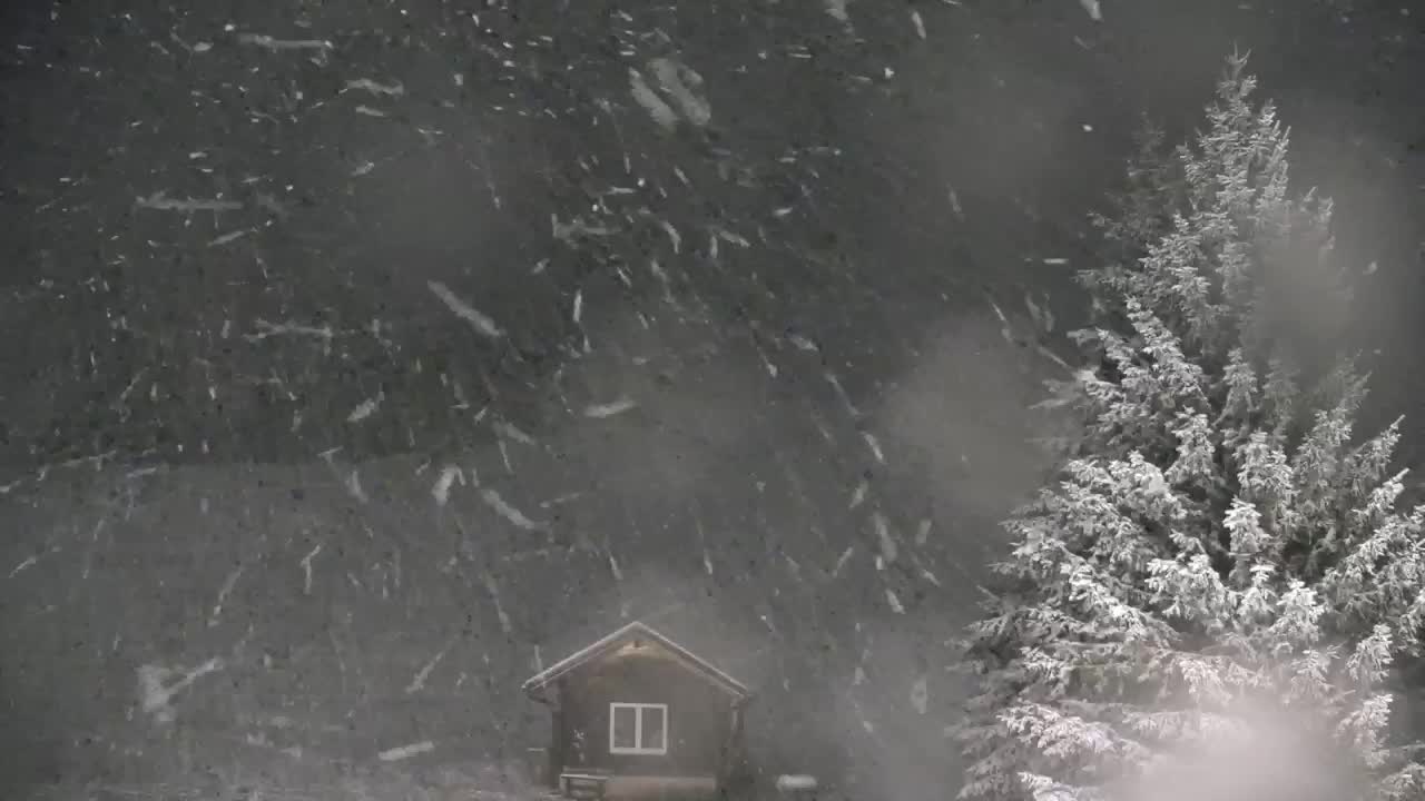 Webcam Lokve – La beauté de la forêt de Trnovo