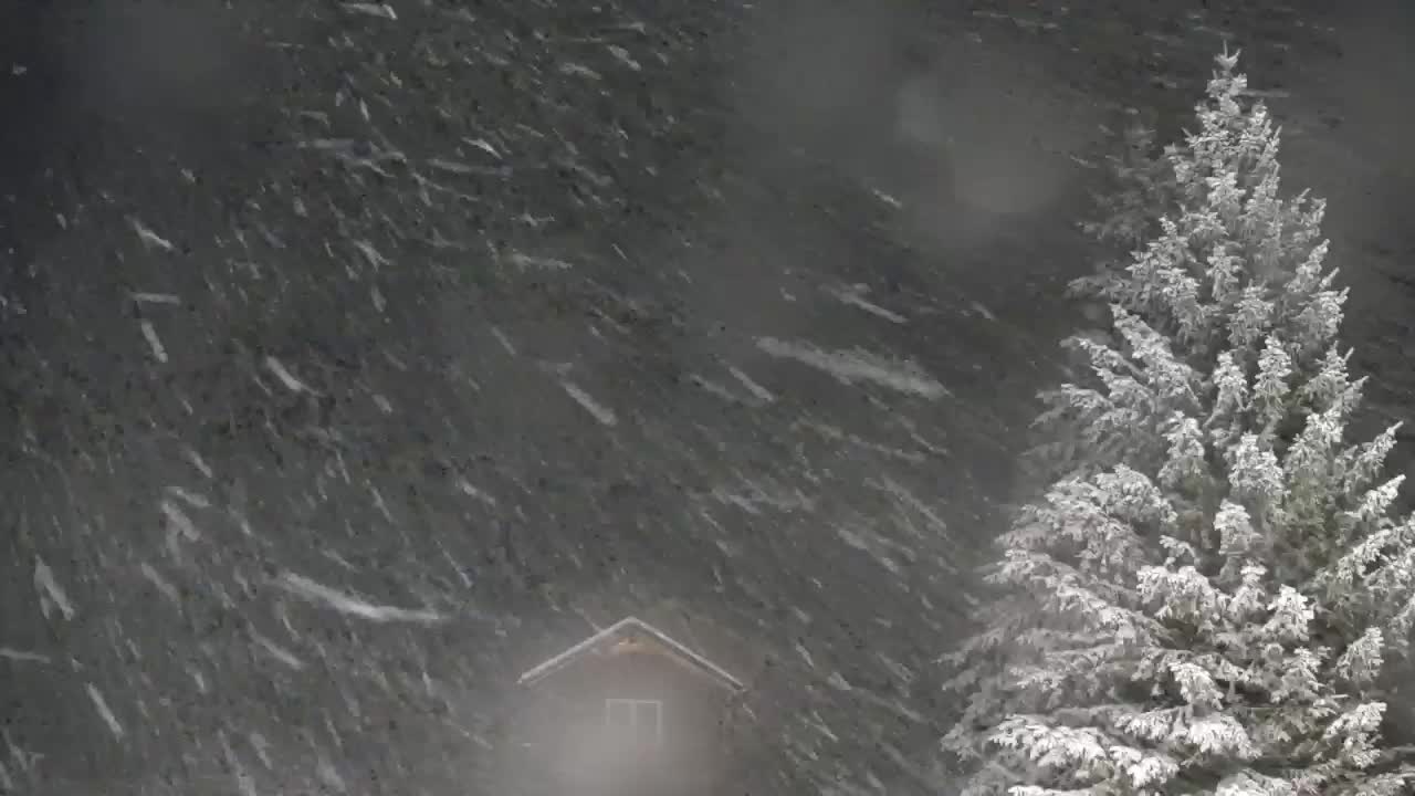 Webcam Lokve – La beauté de la forêt de Trnovo