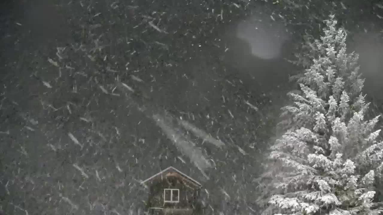 Webcam Lokve – La beauté de la forêt de Trnovo