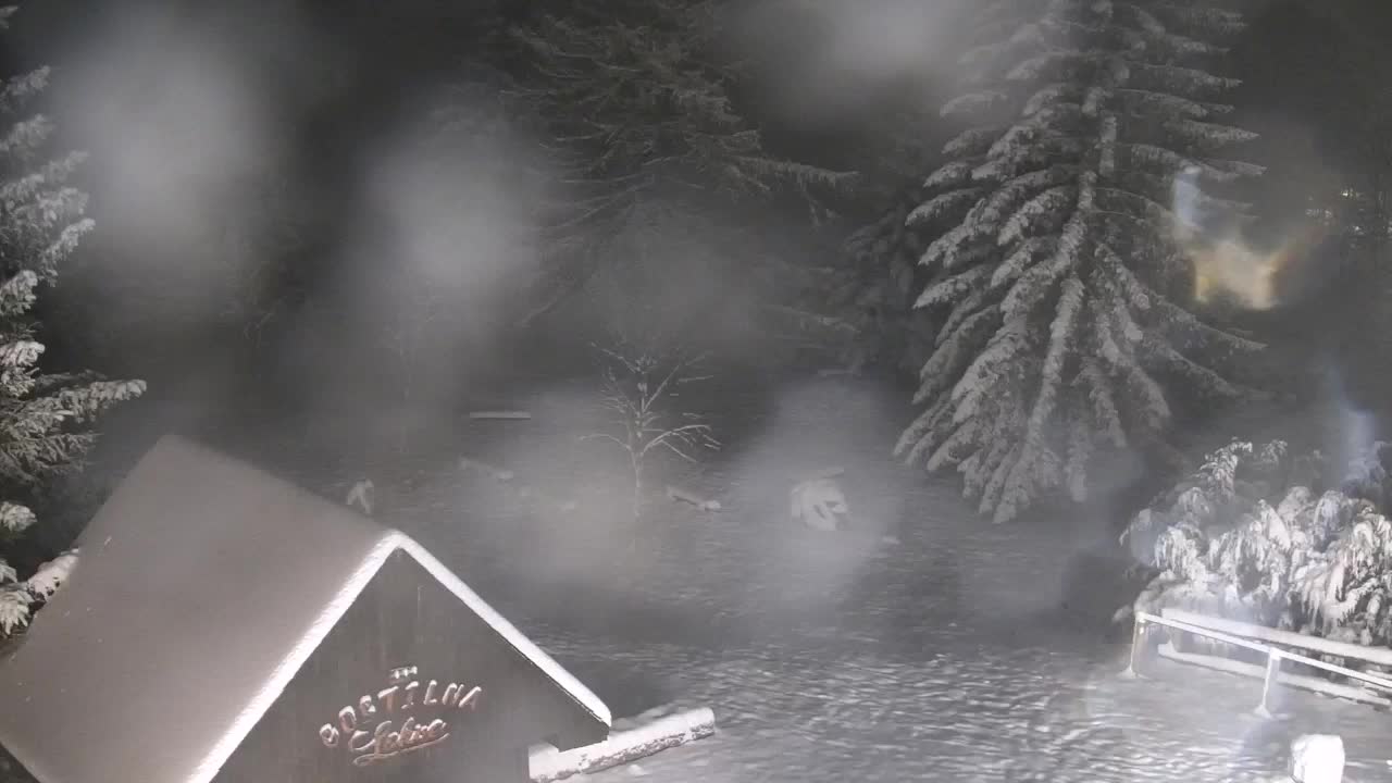 Webcam Lokve – La beauté de la forêt de Trnovo