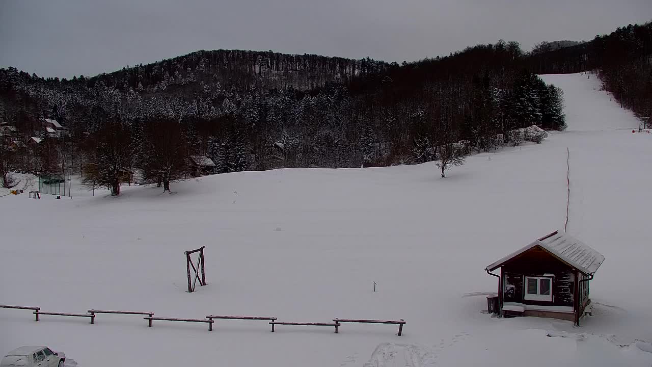 Webcam Loqua / Lokve – La bellezza della selva di Tarnova