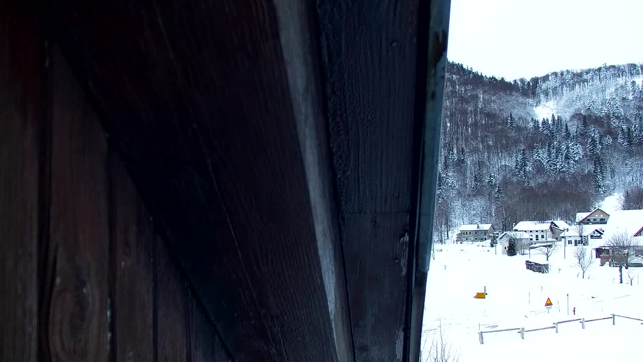 Webcam Lokve – La beauté de la forêt de Trnovo