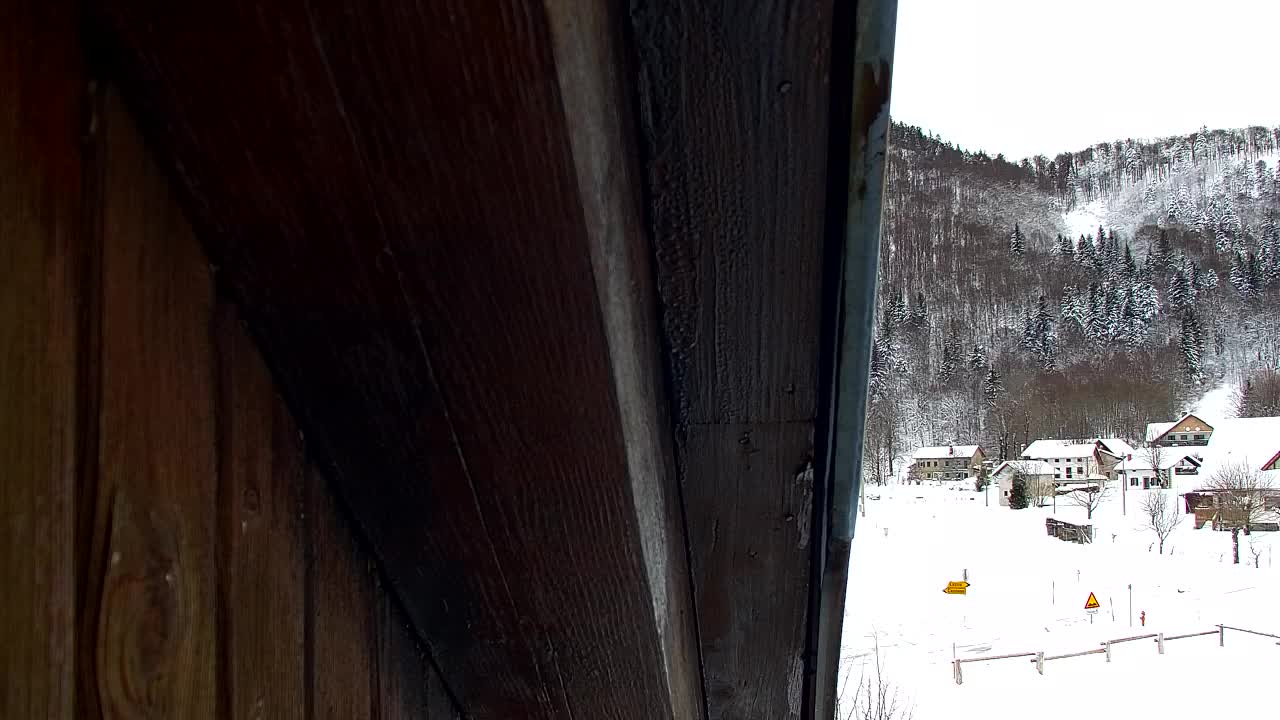 Webcam Lokve – La beauté de la forêt de Trnovo