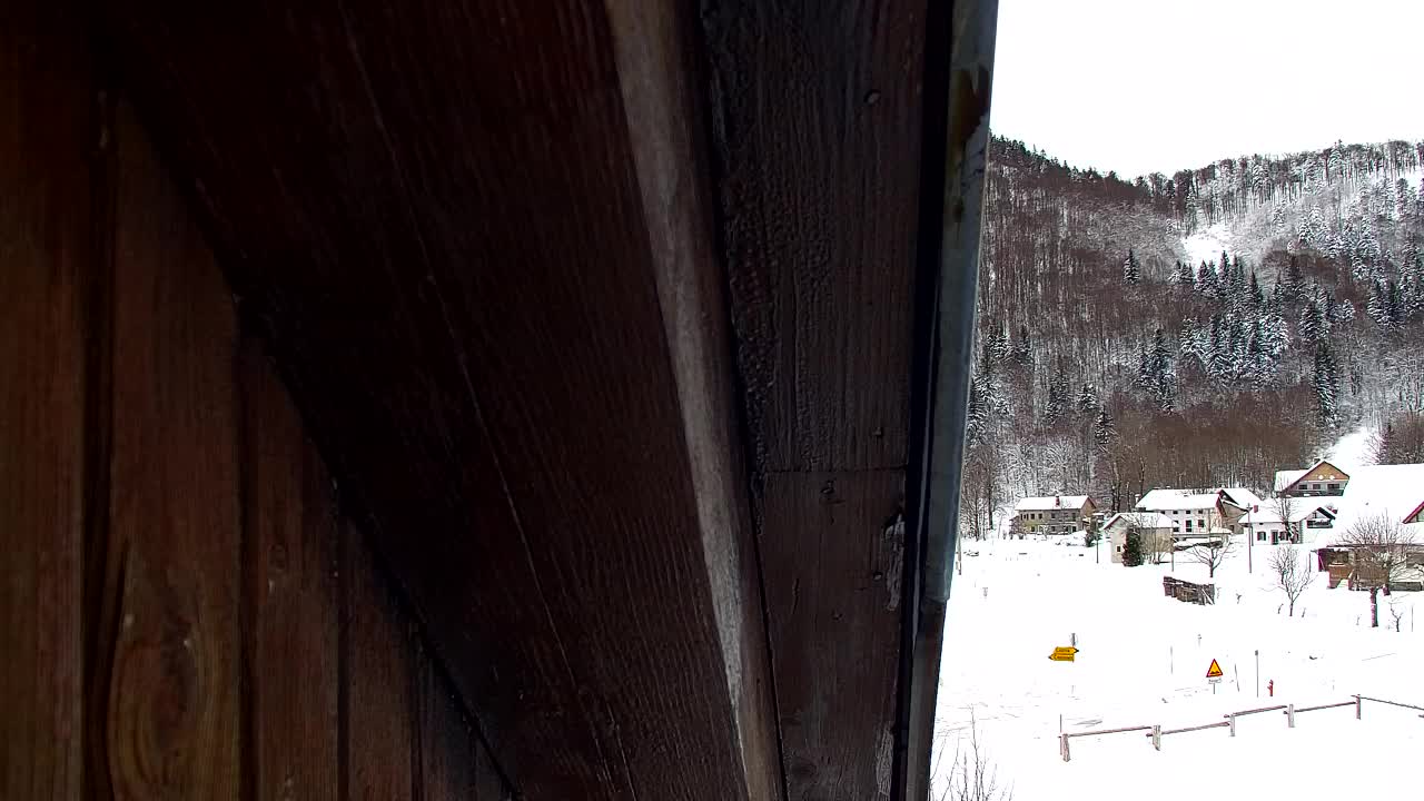 Webcam Lokve – La beauté de la forêt de Trnovo