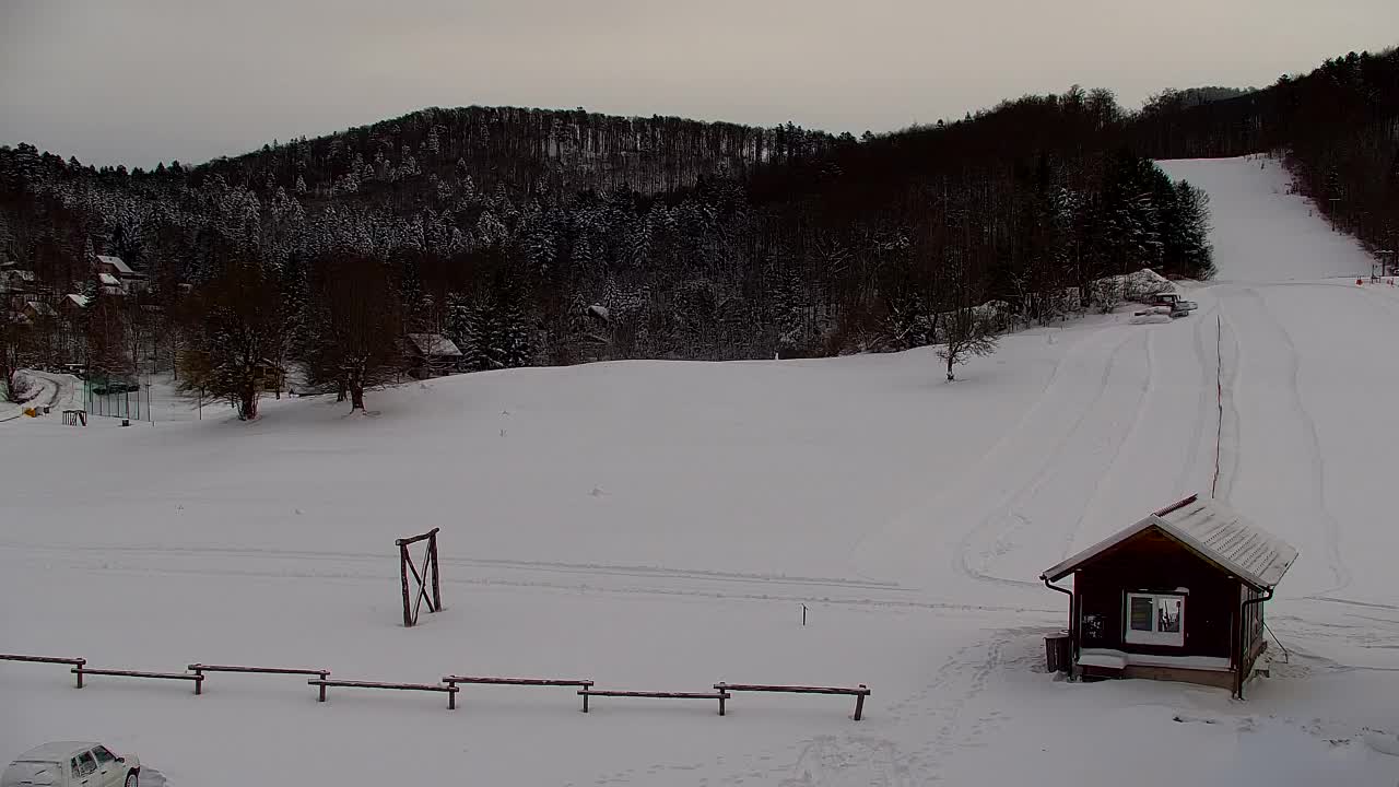 Webcam Lokve – The beauty of the Trnovo forest