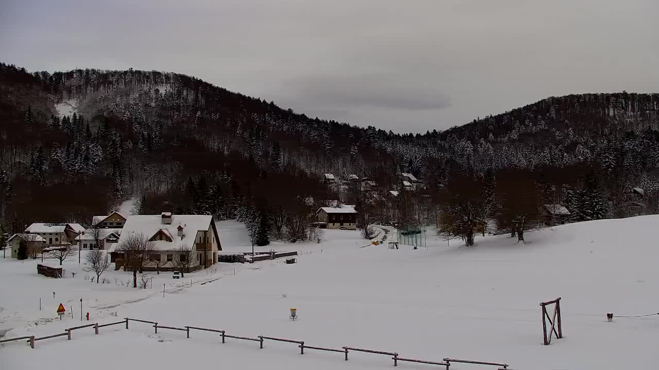 Webcam Lokve – La beauté de la forêt de Trnovo