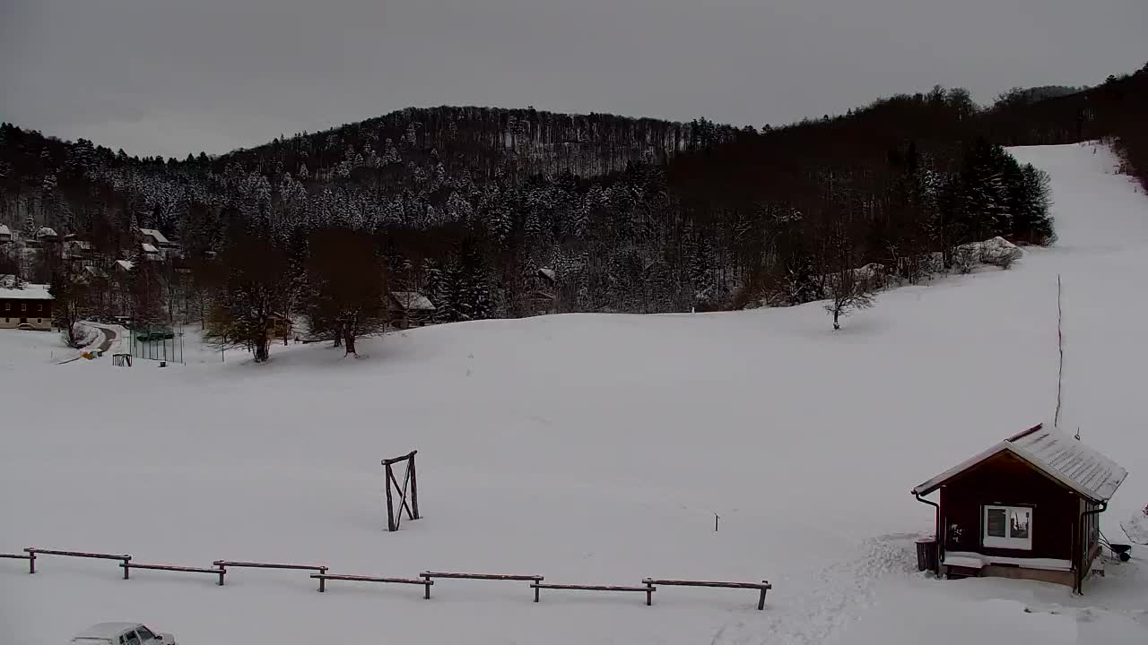 Webcam Lokve – The beauty of the Trnovo forest