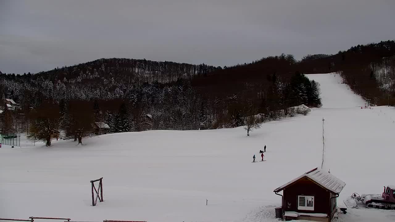 Webcam Lokve – La beauté de la forêt de Trnovo