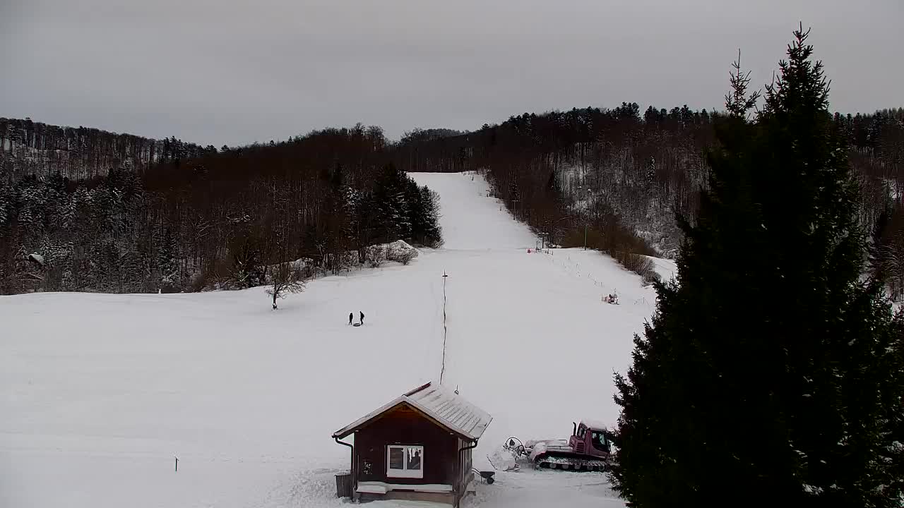 Webcam Lokve – The beauty of the Trnovo forest