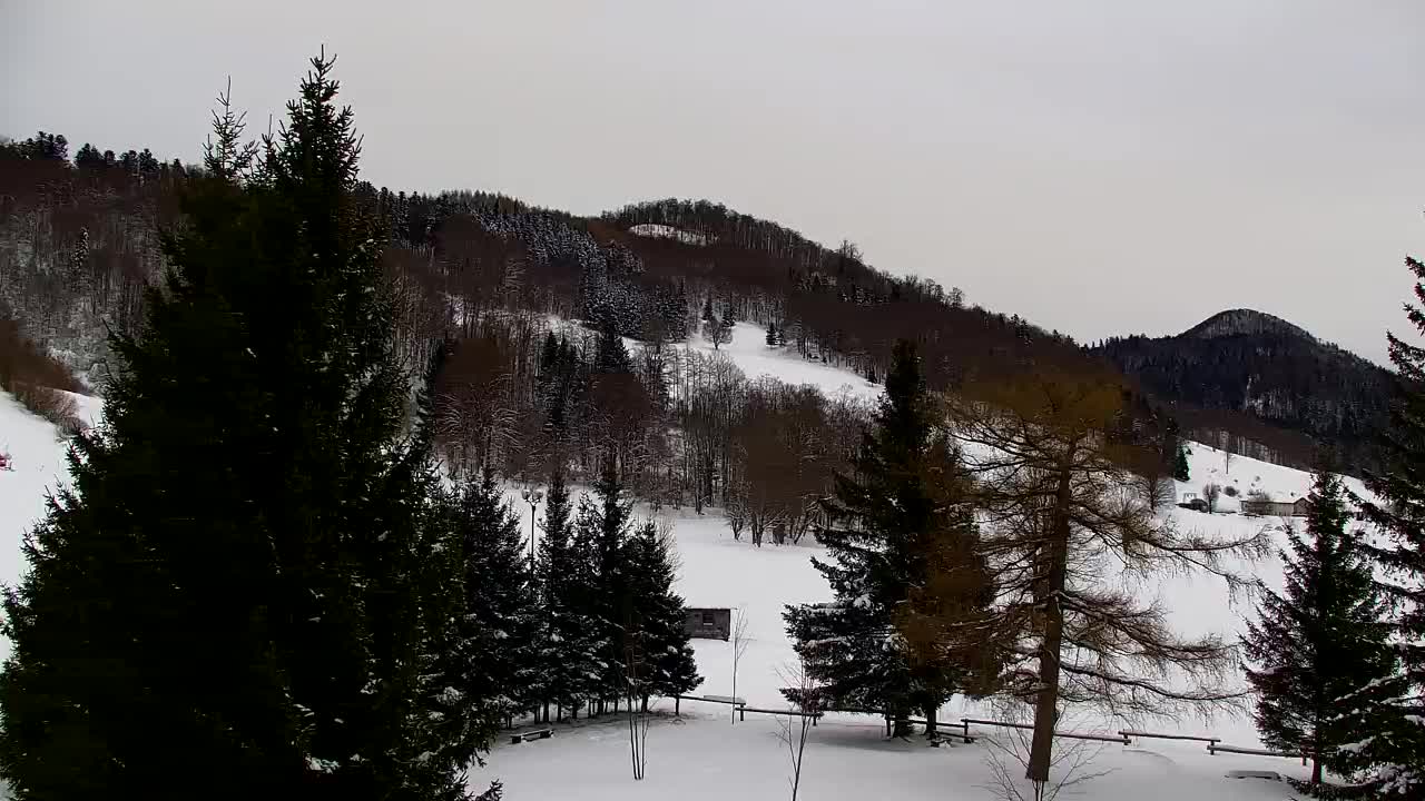 Webcam Lokve – The beauty of the Trnovo forest