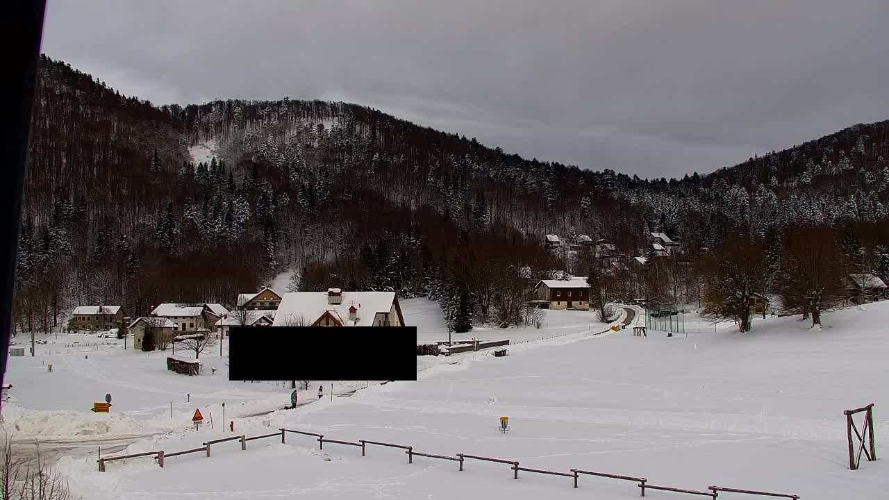 Webcam Lokve – La beauté de la forêt de Trnovo