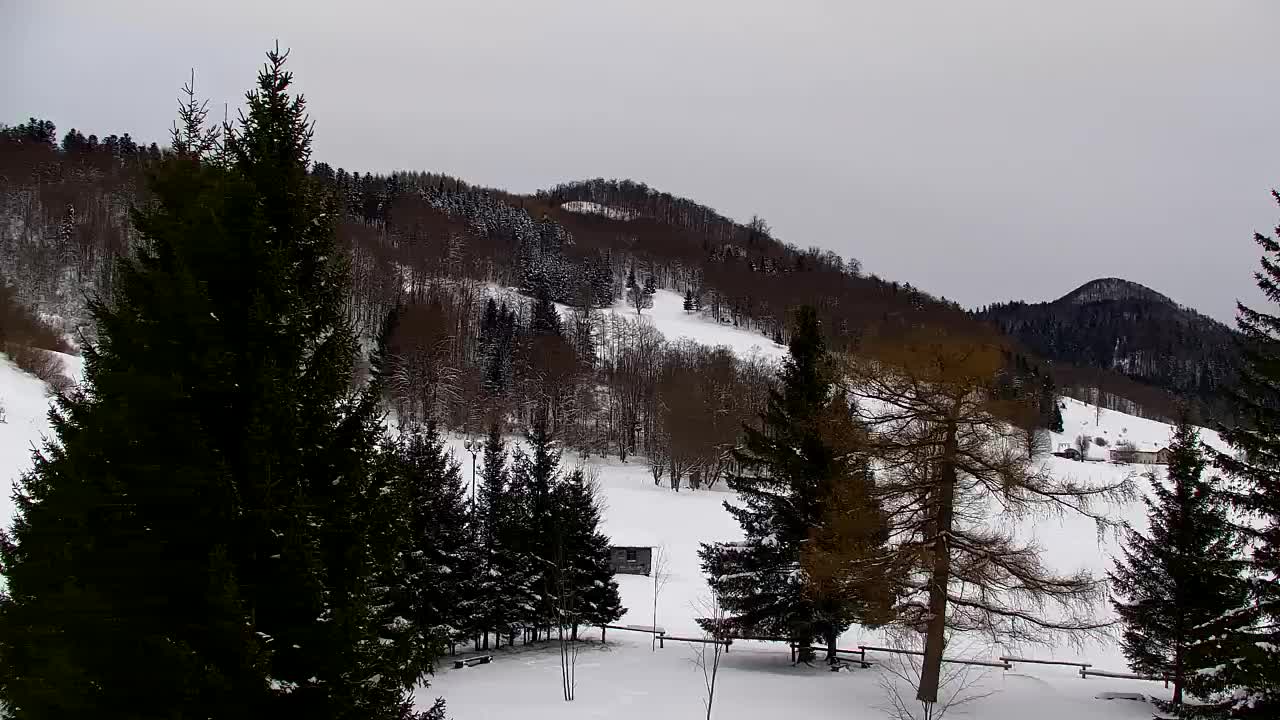 Webcam Lokve – La beauté de la forêt de Trnovo