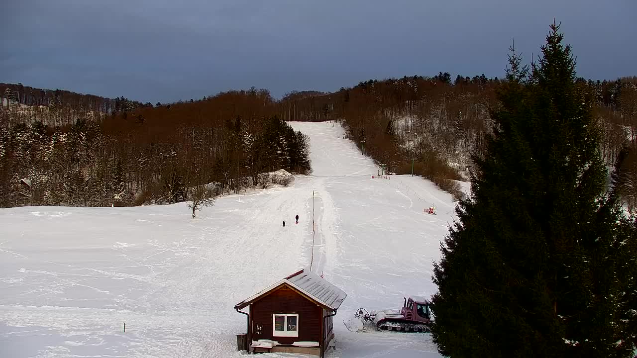 Webcam Lokve – La beauté de la forêt de Trnovo