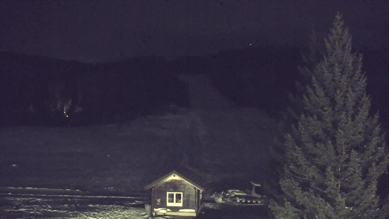 Webcam Lokve – La beauté de la forêt de Trnovo