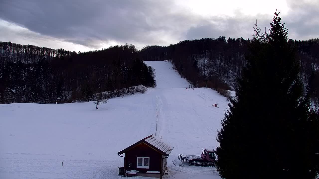 Webcam Lokve – La beauté de la forêt de Trnovo