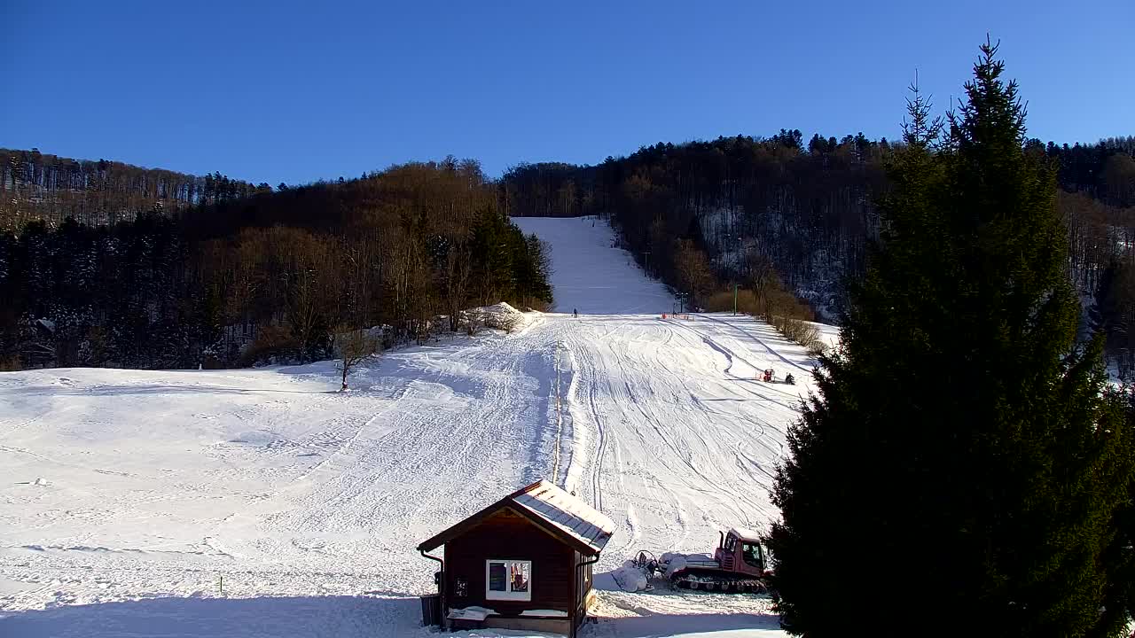 Webcam Loqua / Lokve – La bellezza della selva di Tarnova