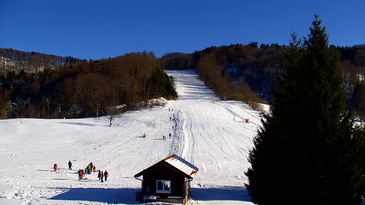 Webcam Lokve – The beauty of the Trnovo forest