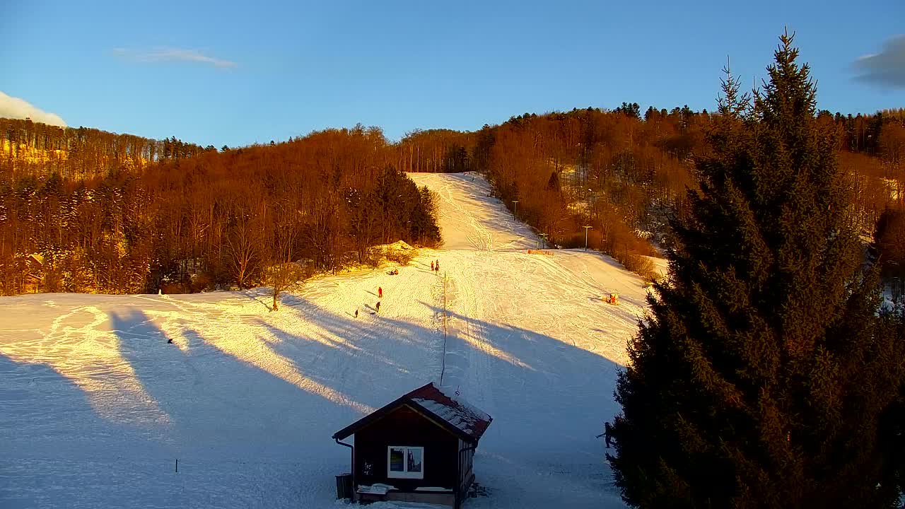 Webcam Lokve – The beauty of the Trnovo forest