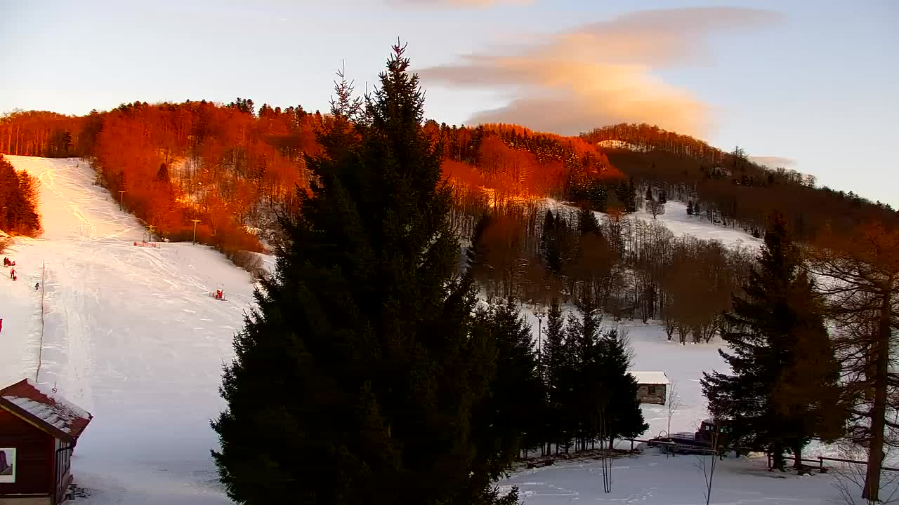 Webcam Lokve – The beauty of the Trnovo forest