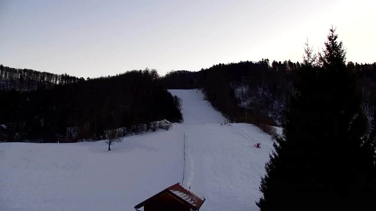 Webcam Lokve – La beauté de la forêt de Trnovo