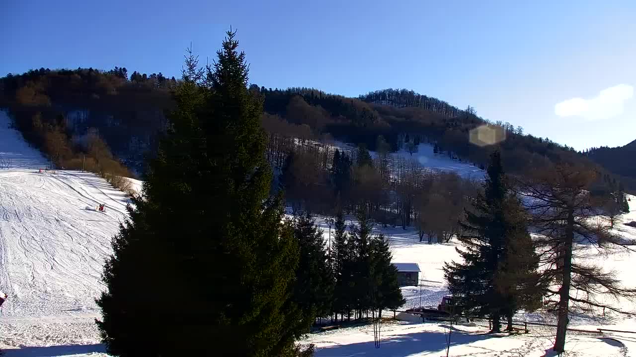 Webcam Lokve – The beauty of the Trnovo forest