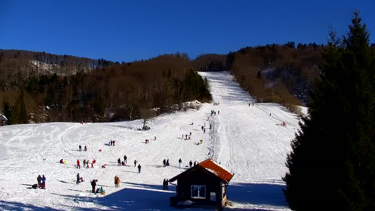 Webcam Loqua / Lokve – La bellezza della selva di Tarnova