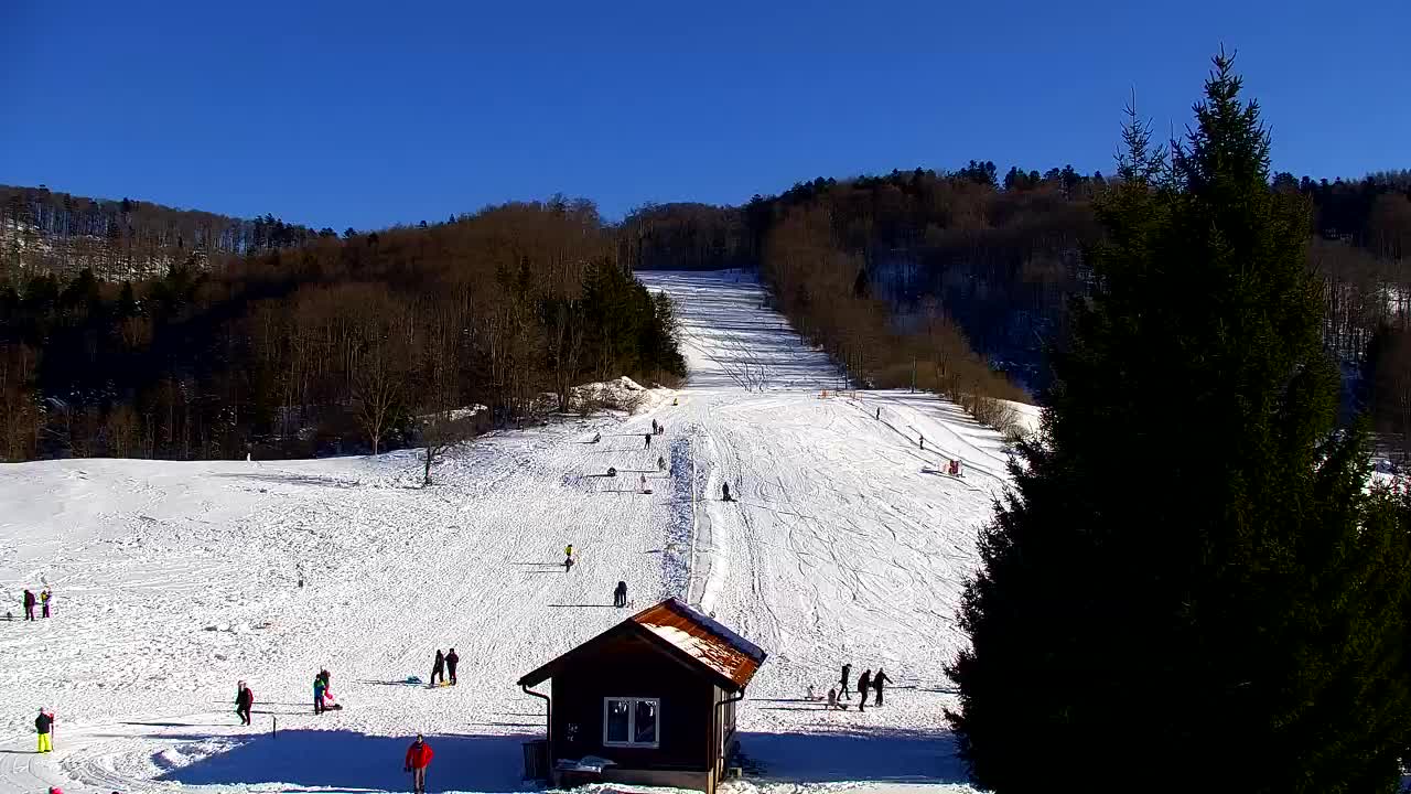 Webcam Loqua / Lokve – La bellezza della selva di Tarnova