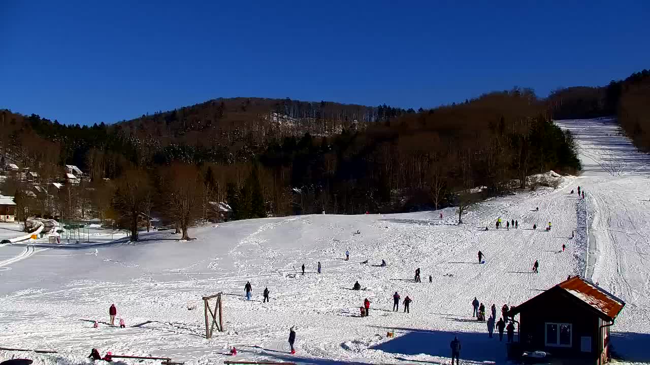 Webcam Lokve – The beauty of the Trnovo forest