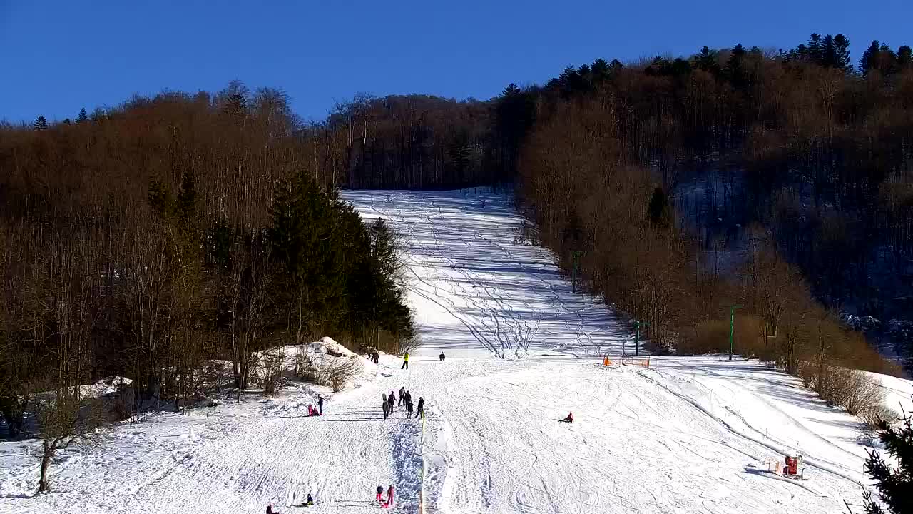 Webcam Lokve – La beauté de la forêt de Trnovo