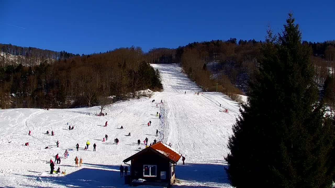 Webcam Lokve – La beauté de la forêt de Trnovo