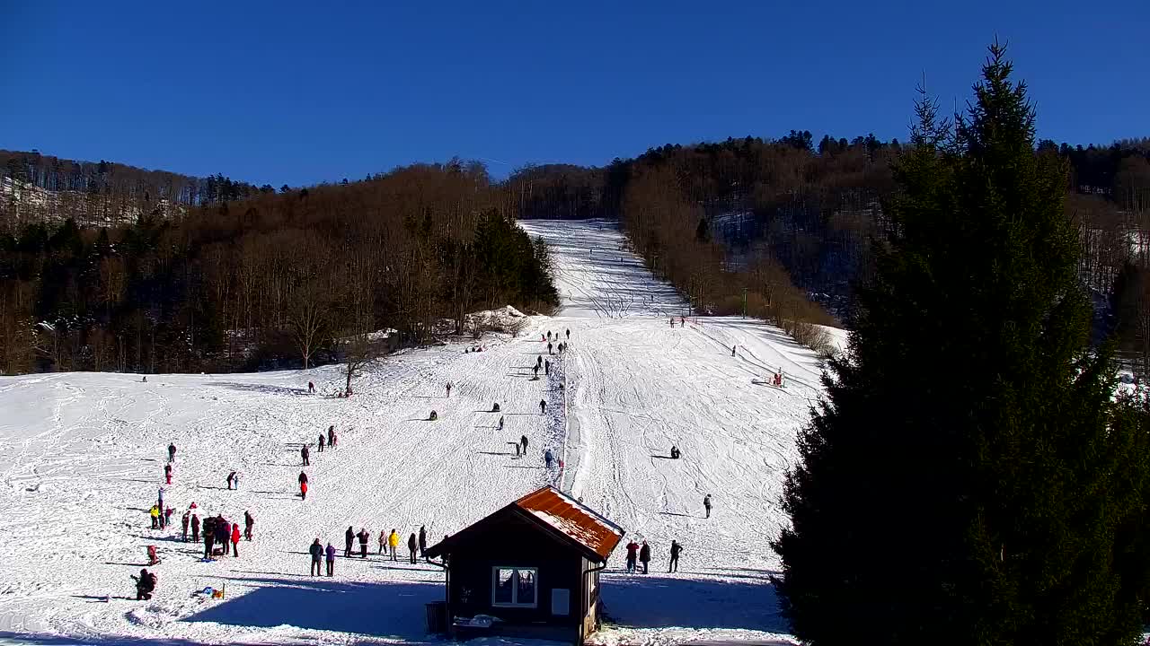 Camera en vivo Lokve – La belleza del bosque de Trnovo