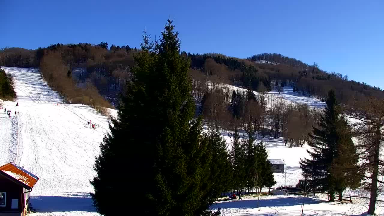 Webcam Lokve – La beauté de la forêt de Trnovo