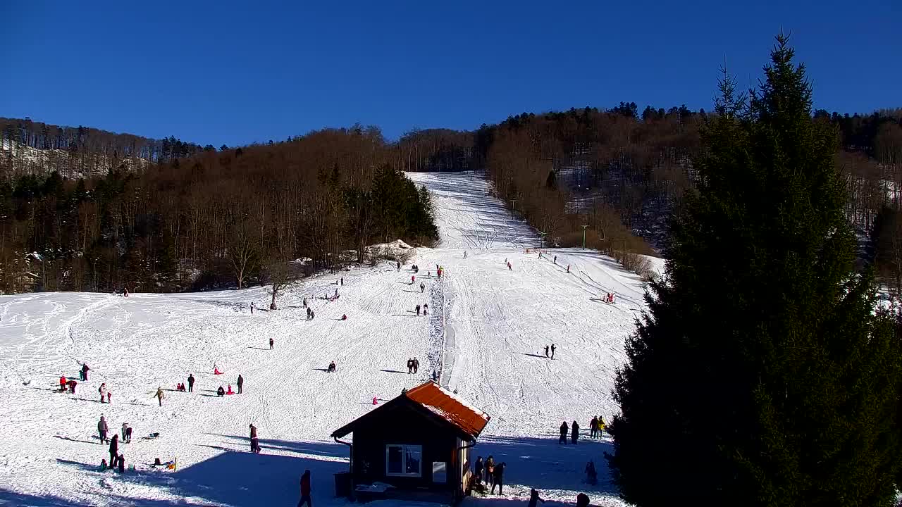 Webcam Lokve – La beauté de la forêt de Trnovo