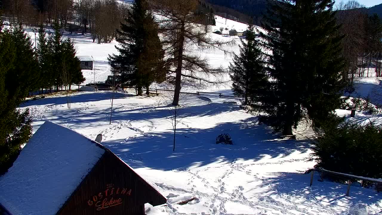 Webcam Lokve – La beauté de la forêt de Trnovo