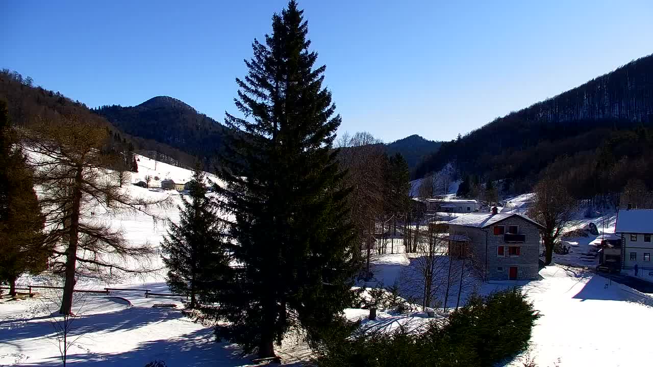 Webcam Lokve – The beauty of the Trnovo forest