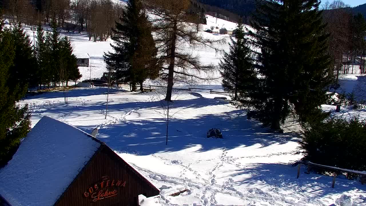 Webcam Lokve – La beauté de la forêt de Trnovo