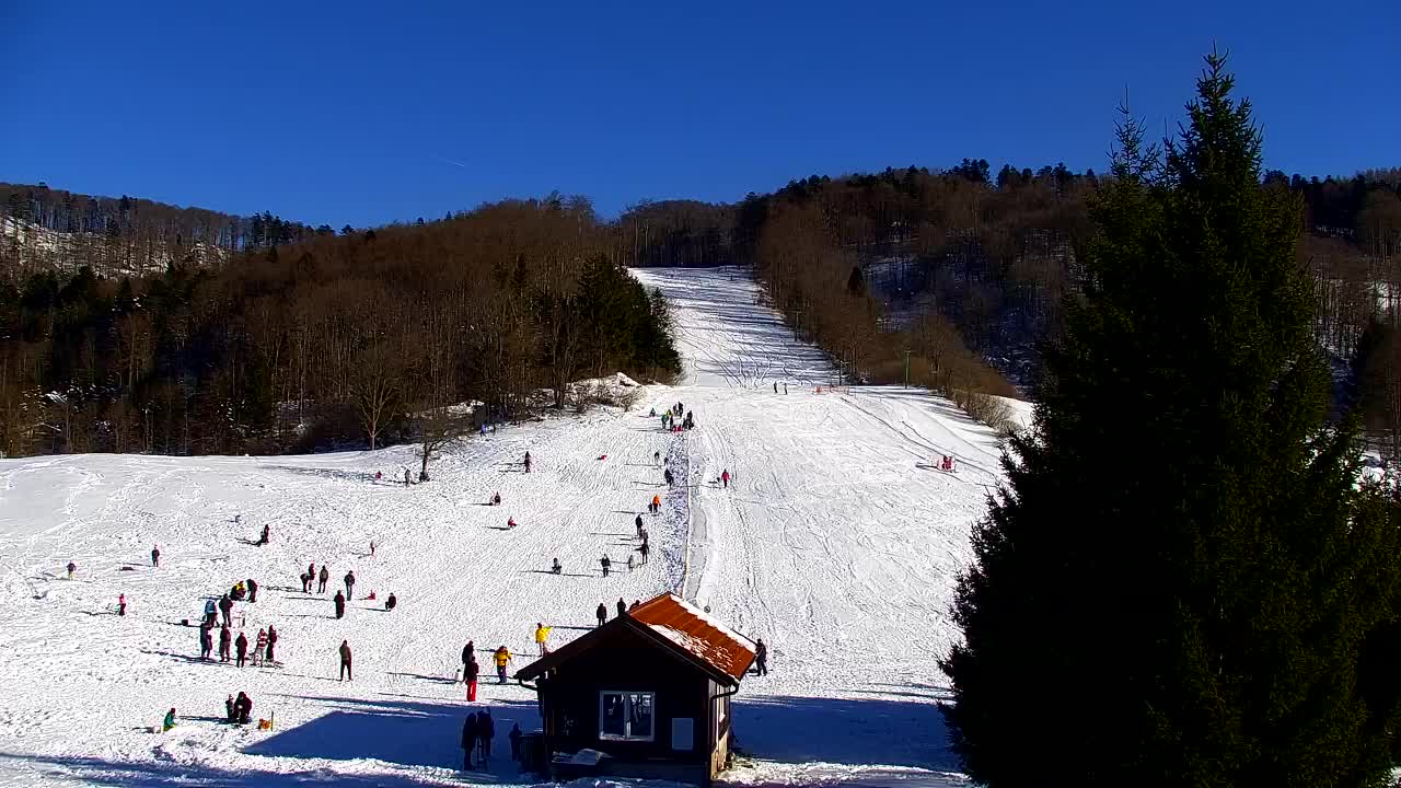 Webcam Lokve – The beauty of the Trnovo forest