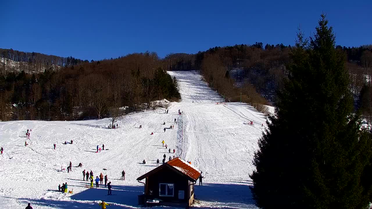 Webcam Lokve – The beauty of the Trnovo forest