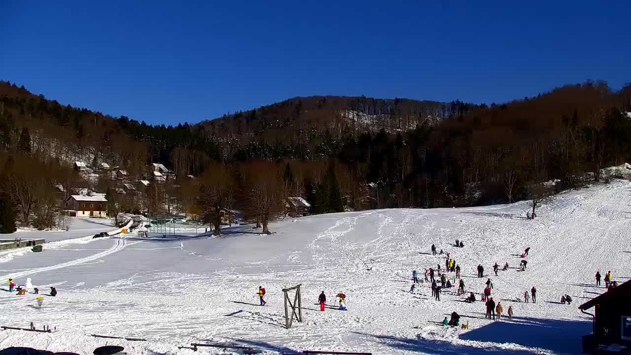 Webcam Lokve – La beauté de la forêt de Trnovo