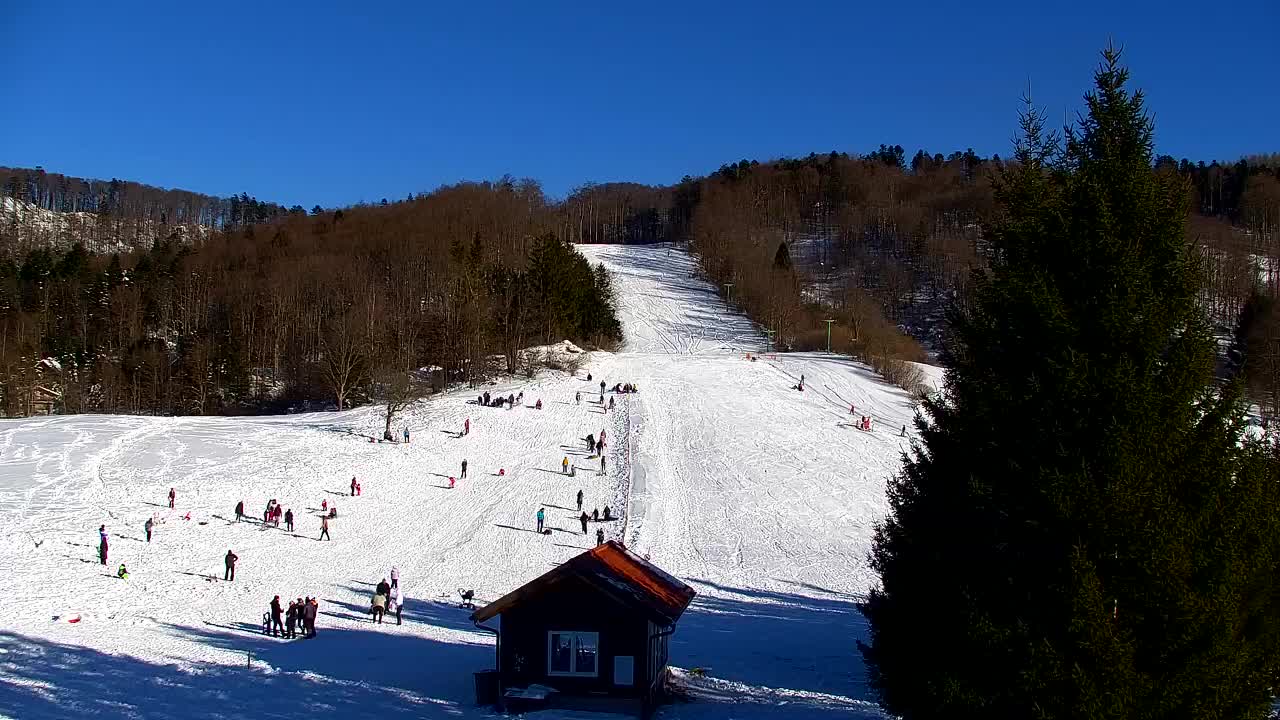 Webcam Lokve – Die Schönheit des Trnovo-Waldes