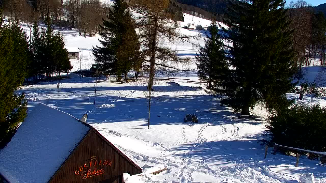 Webcam Lokve – La beauté de la forêt de Trnovo