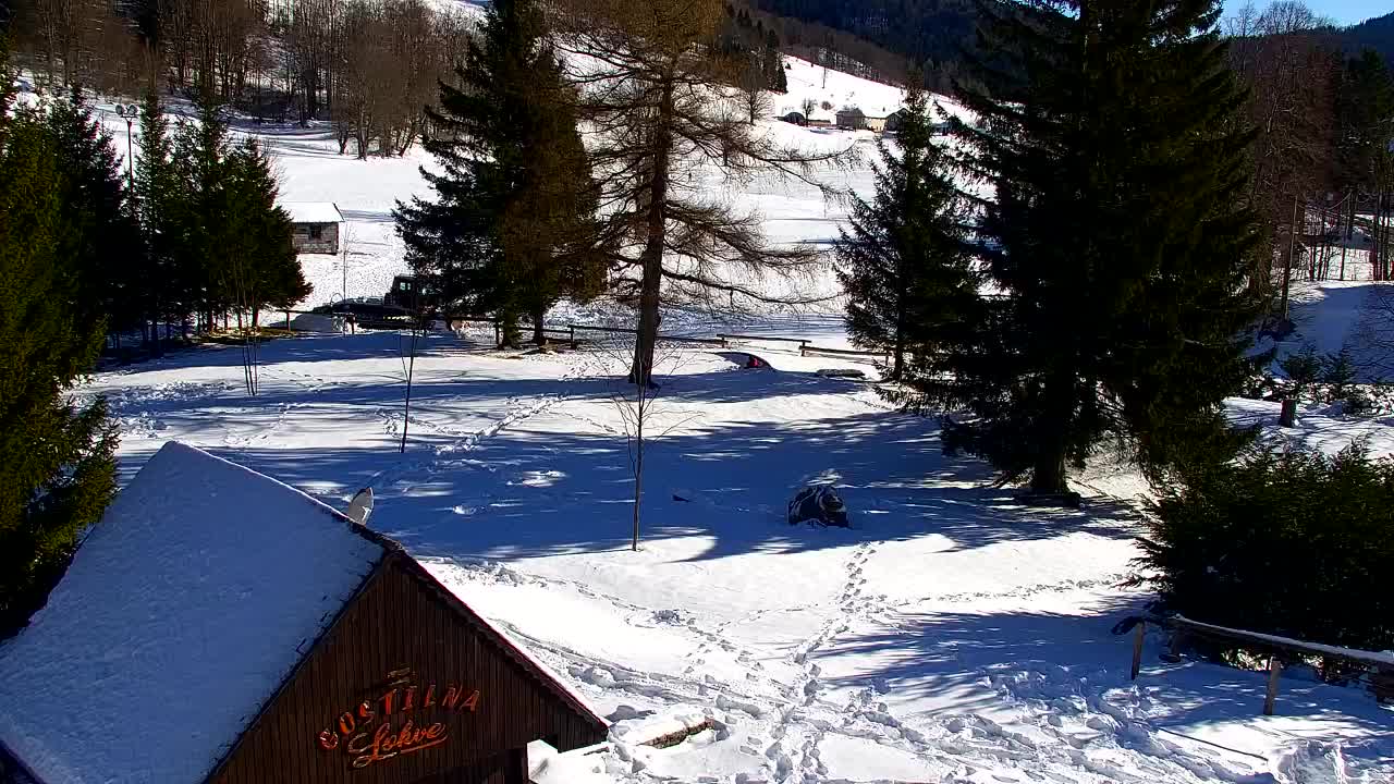 Webcam Lokve – La beauté de la forêt de Trnovo