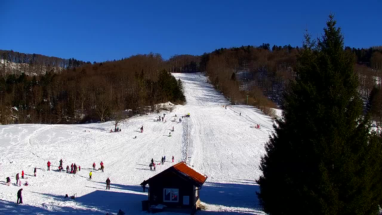 Webcam Lokve – The beauty of the Trnovo forest