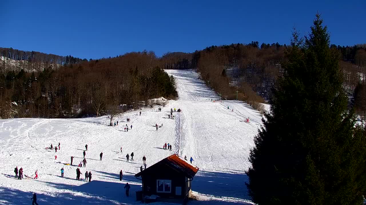 Webcam Loqua / Lokve – La bellezza della selva di Tarnova