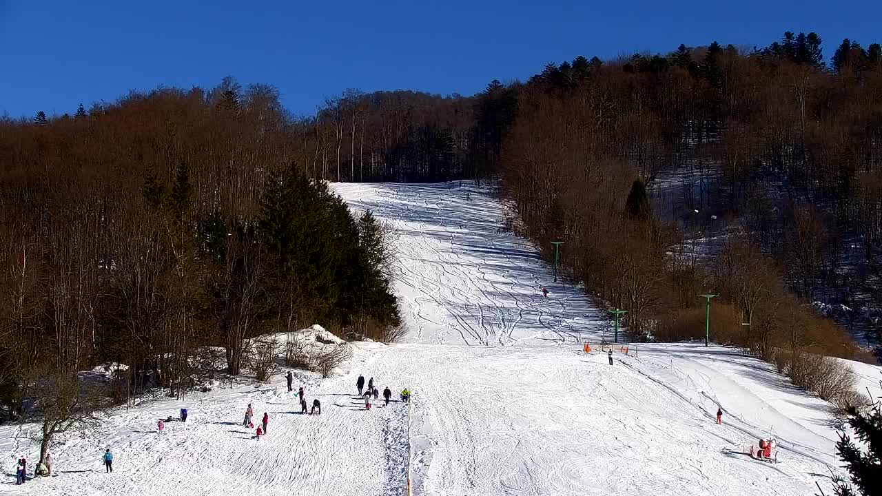 Webcam Lokve – The beauty of the Trnovo forest