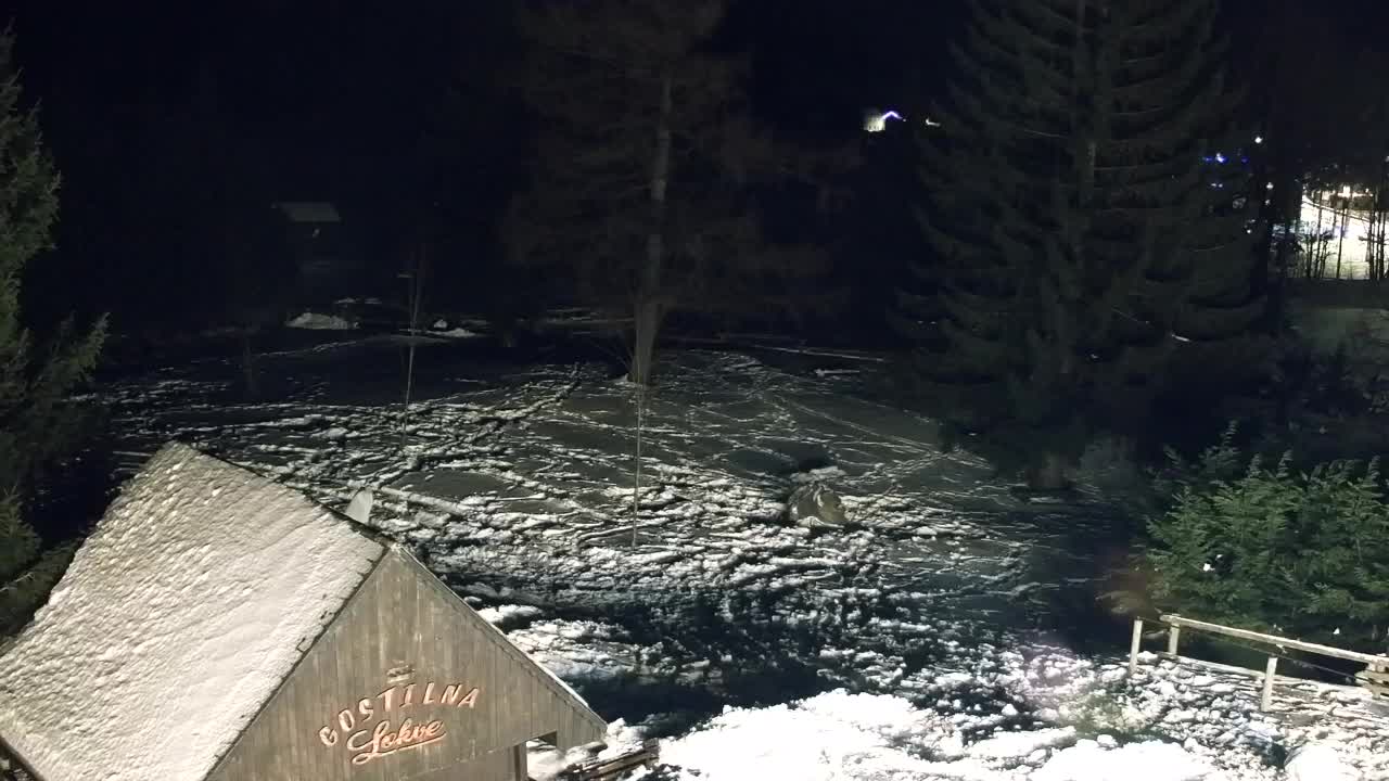 Webcam Lokve – La beauté de la forêt de Trnovo