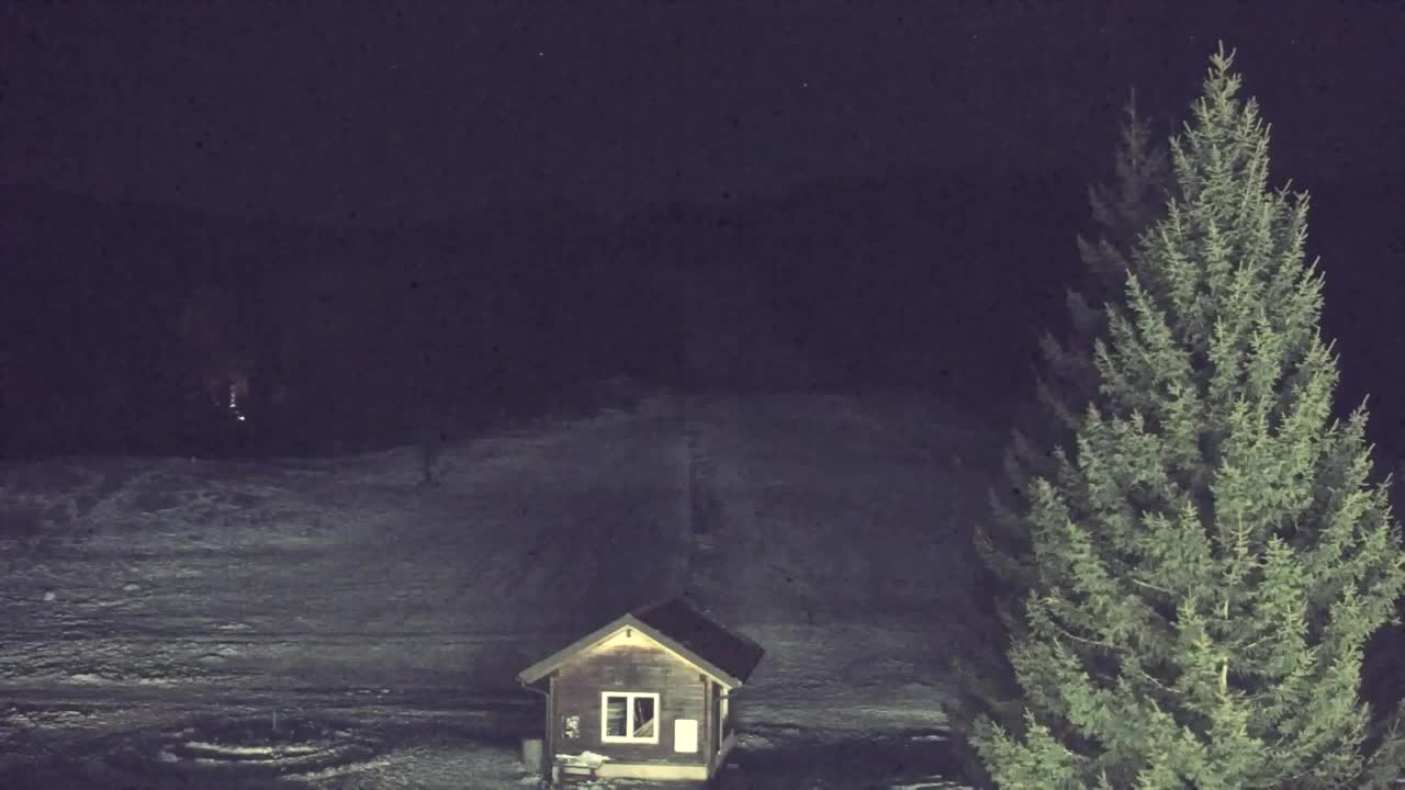 Webcam Lokve – La beauté de la forêt de Trnovo