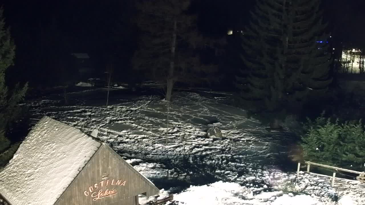 Webcam Lokve – La beauté de la forêt de Trnovo