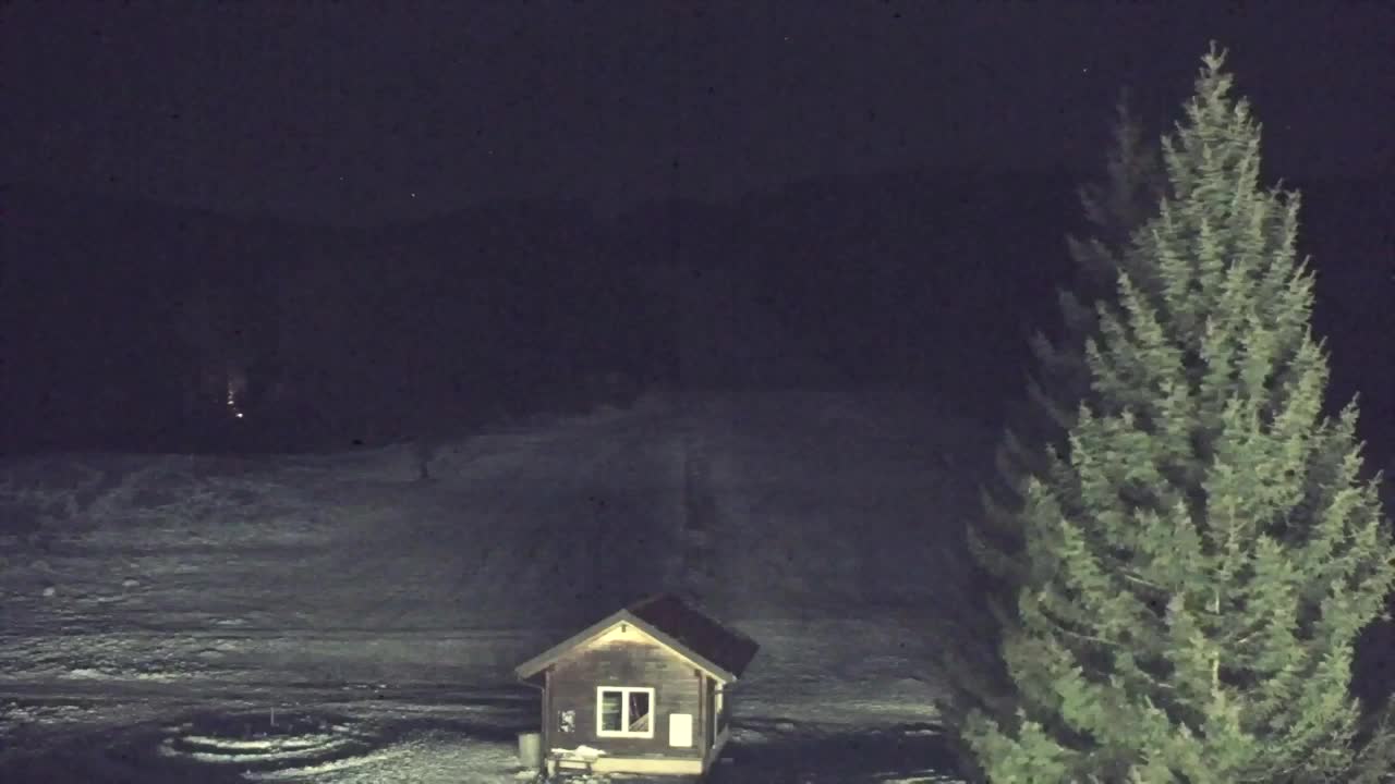 Webcam Lokve – La beauté de la forêt de Trnovo